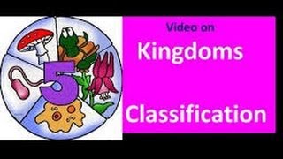 Classification of Living things for Kids [upl. by Akihc]