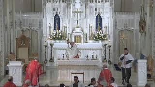 Holy Mass for the Solemnity of Sts Peter and Paul celebrated by Archbishop Naumann 62924 [upl. by Juan]