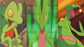 Pokemon AMV Fire Treecko to Sceptile [upl. by Mark]