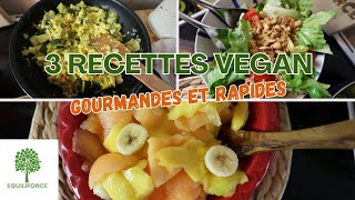 3 RECETTES VEGAN pour un REPAS RAPIDE et EQUILIBRÉ  LUNDI VERT n°293 [upl. by Leopoldeen]