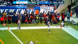 Santonio Holmes Amazing Touchdown Catch vs Patriots Divisional Playoffs [upl. by Missie]