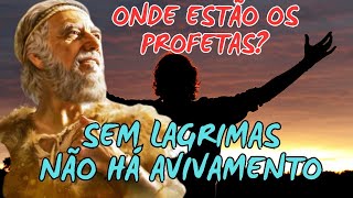 PROFETAS DE DEUS Que se levantem os profetas dessa Nação [upl. by Eemaj]