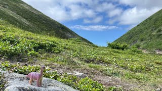 Marston Muktuk Memorial Trail [upl. by Voorhis374]