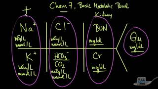 Química Sanguinea de 7 elementos Perfil Metabólico Básico PMB Claramente Explicado [upl. by Bobbye]