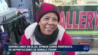 Dominicanos en EE UU opinan sobre propuesta de deportaciones de Donald Trump [upl. by Ayatnohs]