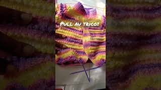 Magnifique pull au tricot [upl. by Mcgray]