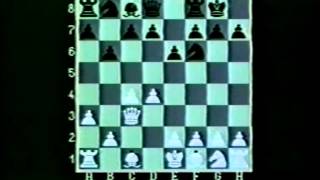 Schach WM 1993 Teil 4 [upl. by Ferguson]