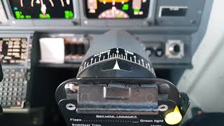 UHD B737 Aileron trim movement during light turbulence [upl. by Horlacher]