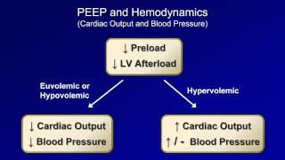 Physiologic Consequences Mechanical Ventilation  Lecture 10 [upl. by Reinert]