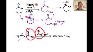 Acylations of Nucleophiles  LTQ 71 Spring 2024 [upl. by Papst]