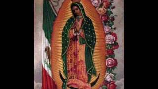 Quien es Esa EstrellaAlabanza a Nuestra Señora de Guadalupe con Mariachi [upl. by Astri]