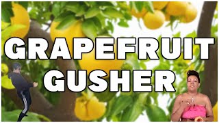 Grapefruit Gusher [upl. by Aicilet]