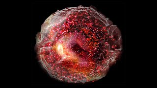 Basophils and Eosinophils [upl. by Roshan]