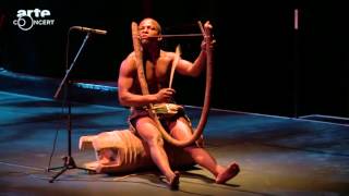 Chants et danses des pygmées Aka du Congo au musée du quai Branly ARTE Concert2 [upl. by Ahserkal26]