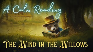 🦝 A Calm Reading of quotThe Wind in the Willowsquot  Full Audiobook for Sleep 😴 [upl. by Nairde137]