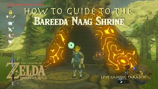 Breath of the Wild  Bareeda Naag Shrine Guide and Location [upl. by Erehc]