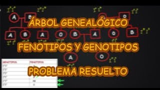 PROBLEMA de GENÉTICA RESUELTO Genotipos a partir de Fenotipos en Genealogía Grupo Sanguíneo AB0 [upl. by Hali]