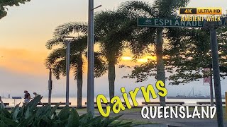 Tropical Cairns Far North Queensland  4K Ambient Walk [upl. by Kcirtemed]