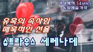 세레나데  리하르트 슈트라우스 독일 예술가곡 가사한국어해석자막 R Strauss  Ständchen Serenade TrV 114  Lied Lyrics [upl. by Yelnahs]