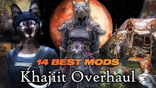 Improving The Khajiit of Skyrim — 14 Best Khajiit Mods Compilation [upl. by Anneliese169]