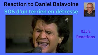 Reaction to Daniel Balavoine  SOS dun terrien en détresse Starmania [upl. by Hogen]