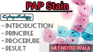 Pap Stain Notes in HindiEnglish  Cytopathology stain cytopathology cytology [upl. by Harlene]