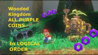 Mario Odyssey Wooded Kingdom ALL PURPLE COINS in LOGICAL ORDER [upl. by Boone]