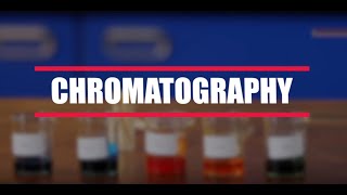 How To Do A Chromatography Experiment BBC Bitesize KS3 Chemistry [upl. by Hnamik]