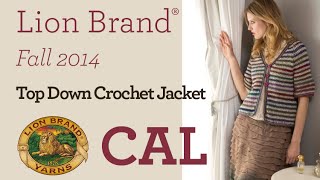 Top Down Crochet Jacket CrochetAlong Swatching [upl. by Him]