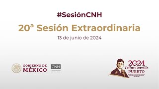 20ª Sesión Extraordinaria del Órgano de Gobierno 13 de junio de 2024 [upl. by Ennaeilsel]