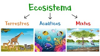 🌿 ¿Qué son los Ecosistemas 🌎 Tipos de Ecosistemas 🐠 Fácil y Rápido [upl. by Auhsot836]