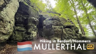 Luxemburg Hiking Tour 2021 MullerthalBerdorfNommern Trail 🇱🇺🥾 Beautiful Landscapes🤩 [upl. by Pennebaker]