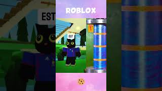 MA COPIE VOULAIT PRENDRE MA PLACE SUR ROBLOX 😡💢 roblox [upl. by Ellebana51]