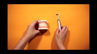 Sonic Precision Tooth Stain Eraser with Plaque Remover demo video [upl. by Auqkinahs533]