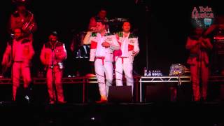 Banda MS quotPideme Perdon amp Mi Olvidoquot Desde El Aragon En Chicago IL 312014 [upl. by Nalad]