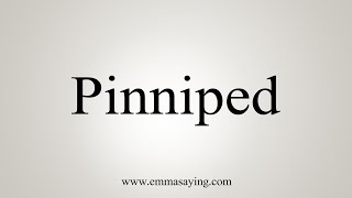 How To Say Pinniped [upl. by Vitalis836]