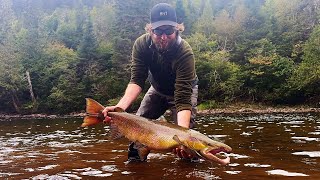 Giant Atlantic Salmon Caught in Gaspé [upl. by Engle]