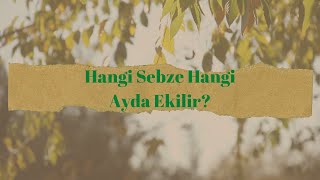 Hangi Sebze Hangi Ayda Ekilir [upl. by Ahsercul]