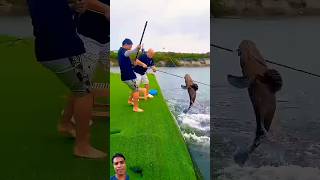 Village Traditional Bamboo Tools Polo Fishing Video Part300 fishingshorts​ fishing​ shorts [upl. by Jaquelyn914]