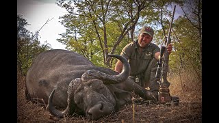 Cape Buffalo hunting in Zambias Luangwa Valley quot DSCs Trailing The Hunters Moon quot [upl. by Cline]