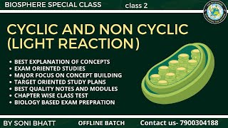 CYCLIC AND NON CYCLIC PHOTO RESPIRATION  LIGHT REACTION PLANT PHYSIOLOGY biology neet class11 [upl. by Christalle856]