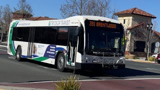 Tri Delta Transit’s Bus Route 391 Eastbound To Brentwood Passing By My Hometown In Downtown In 4K [upl. by Narib]