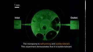 Electromagnetically actuated nozzlediffuser micropump [upl. by Labaw184]