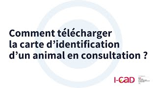 Comment télécharger la carte d’identification d’un animal en consultation  V2 [upl. by Fadas]