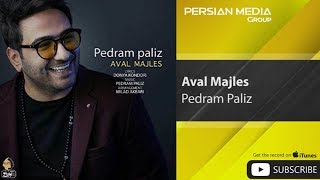 Pedram Paliz  Aval Majles  پدرام پالیز  اول مجلس [upl. by Nonad]