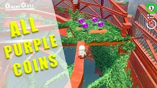 Wooded Kingdom All Purple Coins locations  Super Mario Odyssey [upl. by Oirramed]