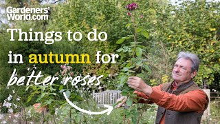 Autumn jobs for BETTER ROSES  Alans advice for things you should do for healthier roses [upl. by Gamages]