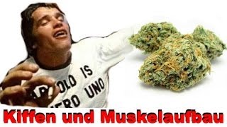 Kiffen und Muskelaufbau  Einfluss von THC im Cannabis auf die Muskeln [upl. by Herculie847]