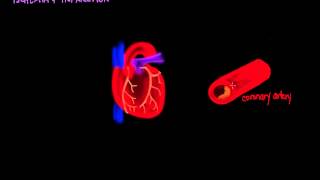 Ischemia and Infarction [upl. by Chandra]