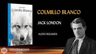 COLMILLO BLANCO  Jack London  RESUMEN Análisis y Cuestionario [upl. by Llerryt188]